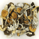 Full Moon Party | Mushroom Dispensary Canada