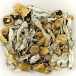 Orissa | Mushroom Dispensary Canada