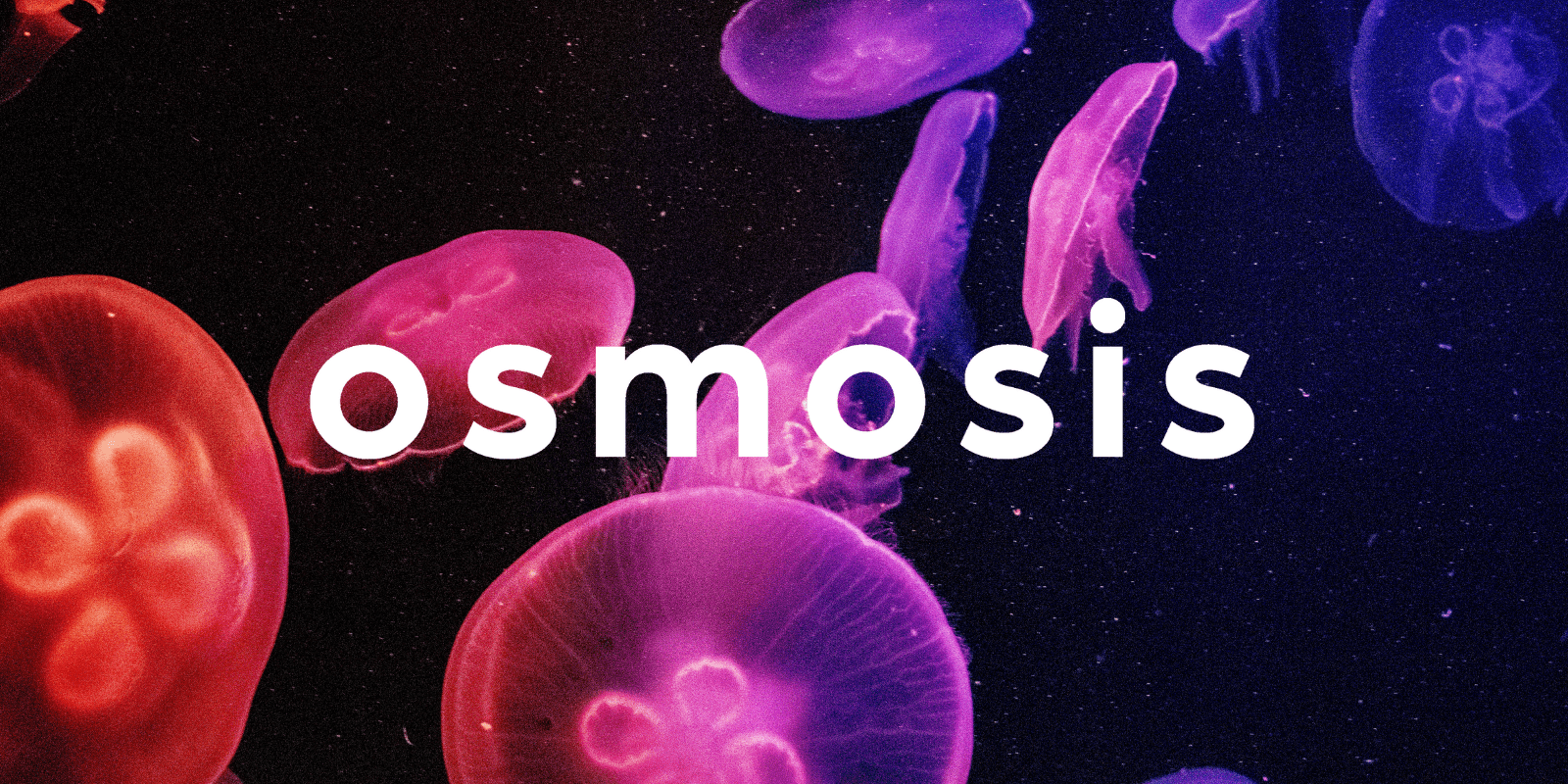 Zoomies osmosis banner | Mushroom Dispensary Canada