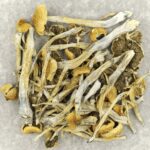 Trinity | Mushroom Dispensary Canada
