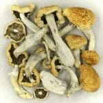 Vietnamese | Mushroom Dispensary Canada
