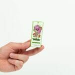 Wonder – Psilocybin Chocolate Bar – Dark Chocolate | Mushroom Dispensary Canada