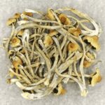 Hautla | Mushroom Dispensary Canada