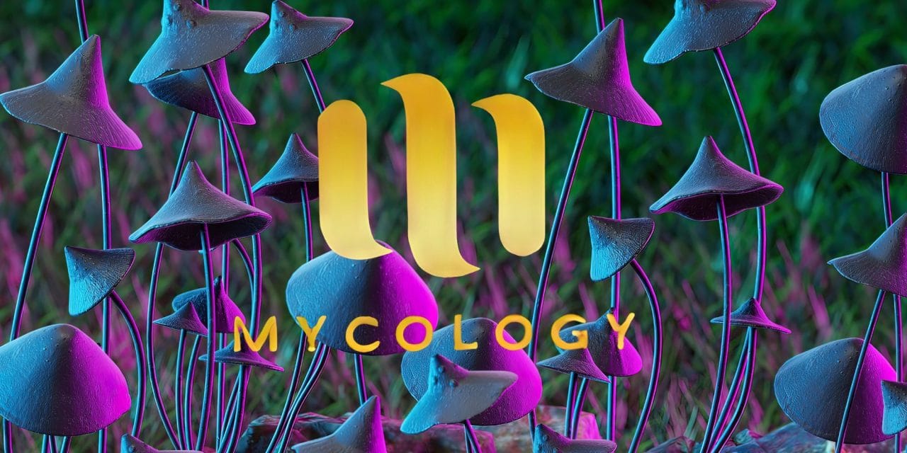 Zoomies Summer 2023 Banner - Mycology | Mushroom Dispensary Canada