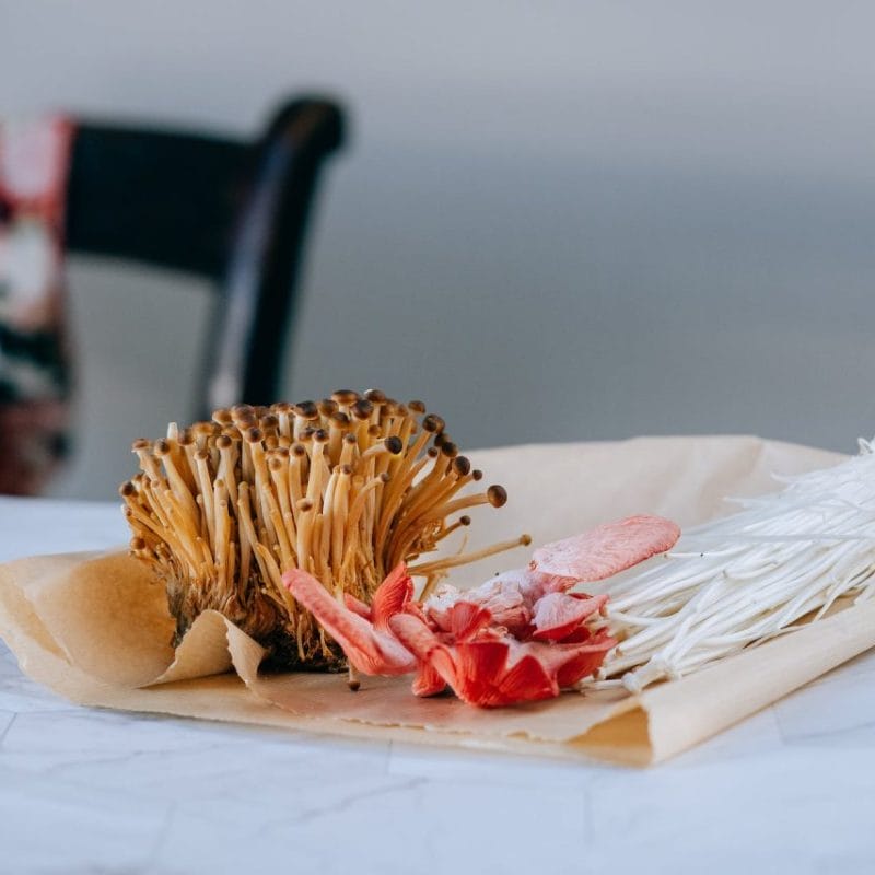 Buy Shrooms Online Canada (1) | Mushroom Dispensary Canada