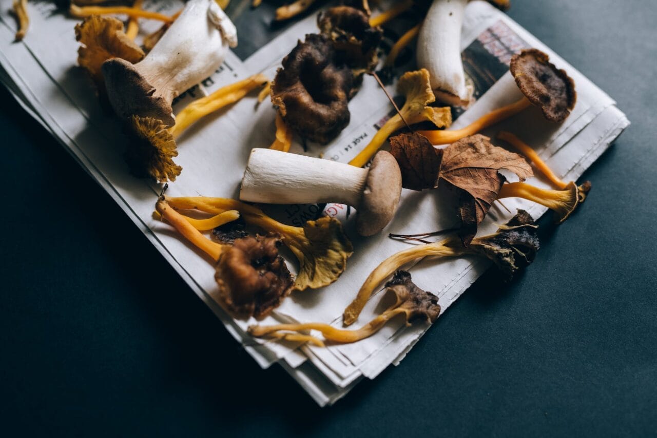 Is There a Good Pairing Between Mushrooms and Chocolate?