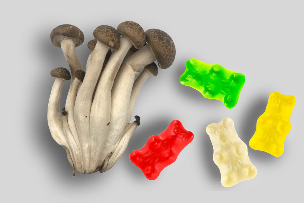Edibles laced with LSD