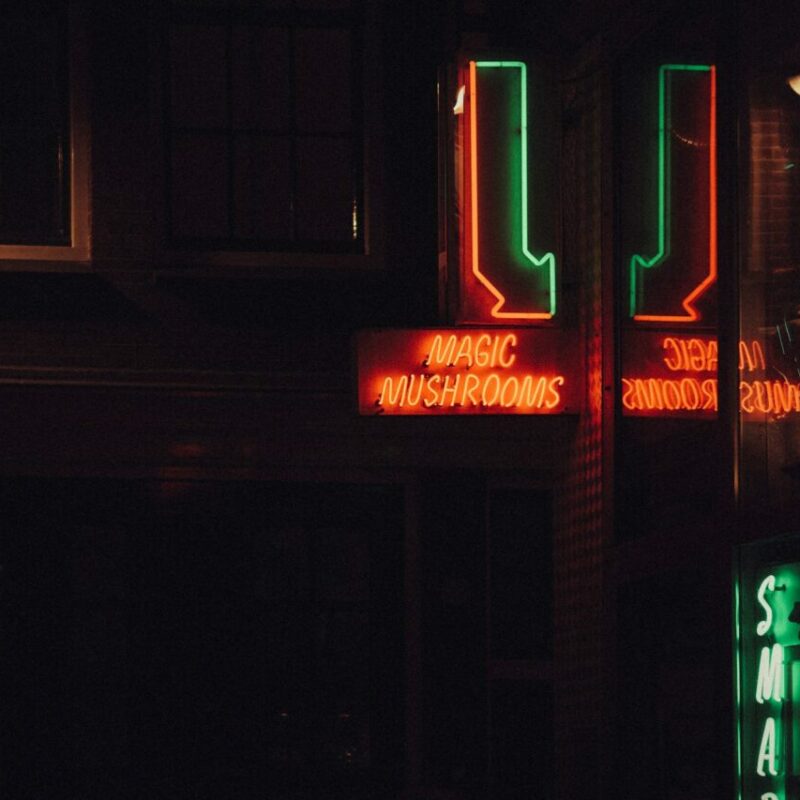 Mushroom Dispensary Vancouver | Mushroom Dispensary Canada