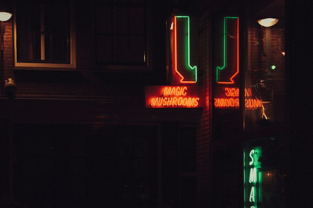 Vancouver’s Mushroom Dispensary – Is Canada Bridging the Gap with the US’s Mushroom Surge?